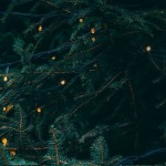 Slow karácsony: fények, zene és fenyőág