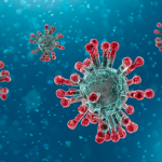 Röviden a koronavírusról – Összefoglaló